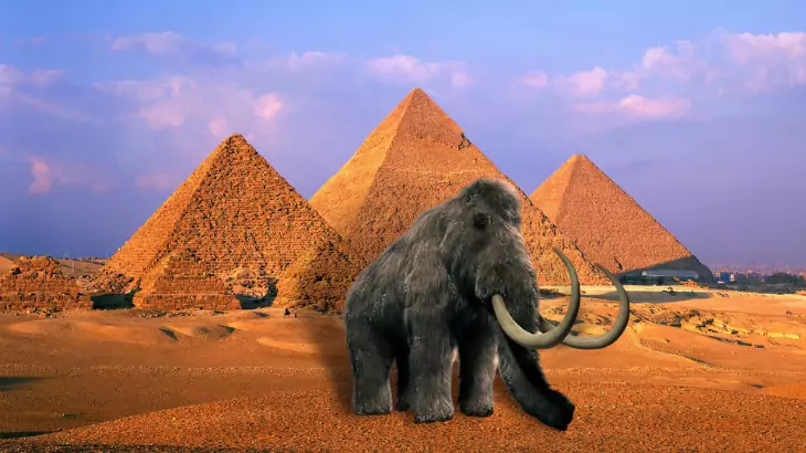 Giza Pyramids and Mammoths