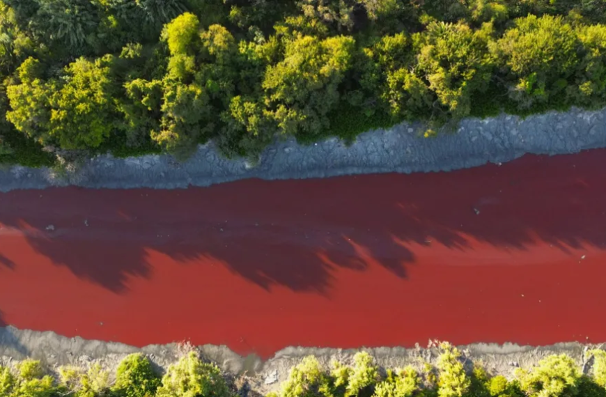 Αργεντινή: Ποτάμι έγινε κόκκινο
