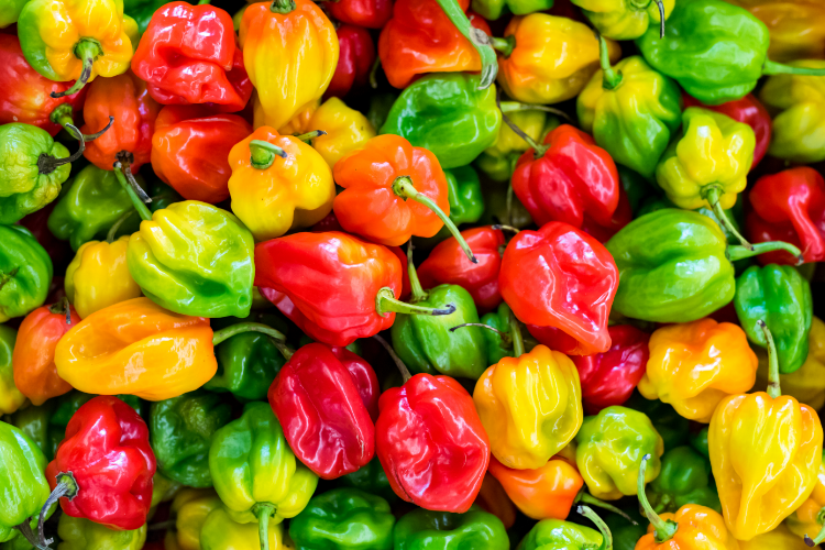 Τα 5 κορυφαία οφέλη των πιπεριών για την υγεία